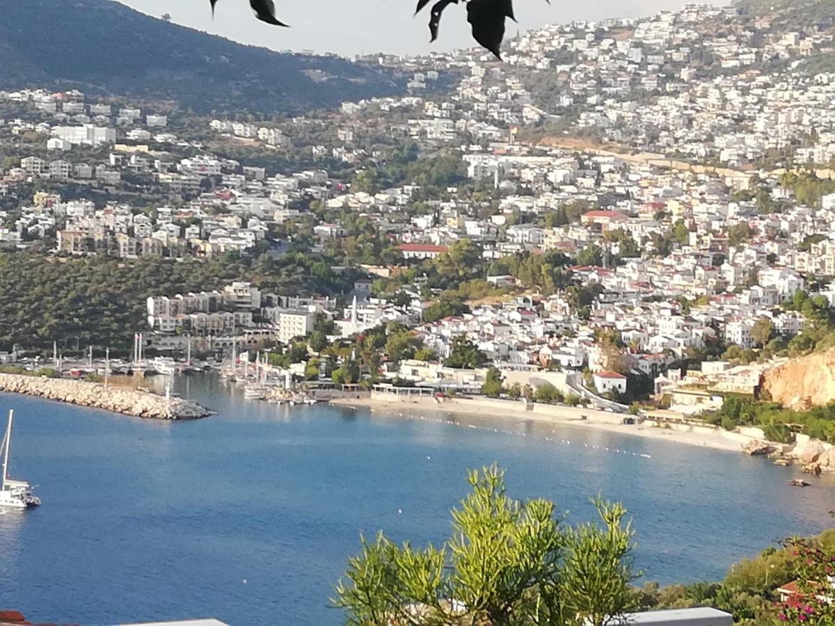 קלקן Sea View Bougainvillea 52 מראה חיצוני תמונה