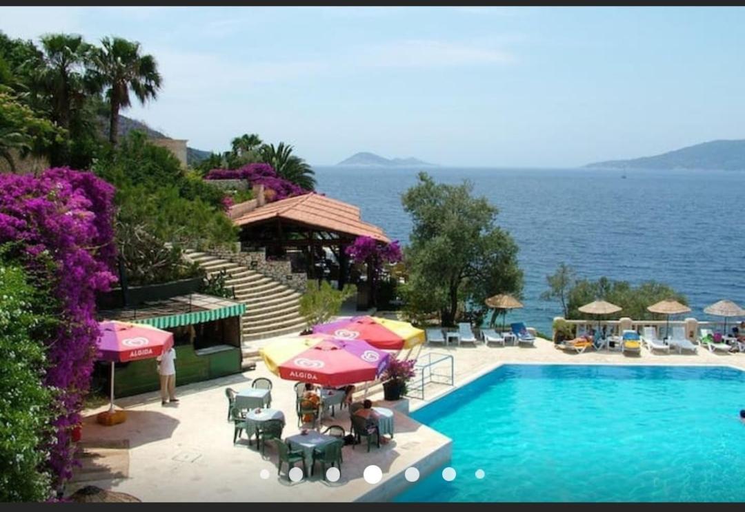 קלקן Sea View Bougainvillea 52 מראה חיצוני תמונה