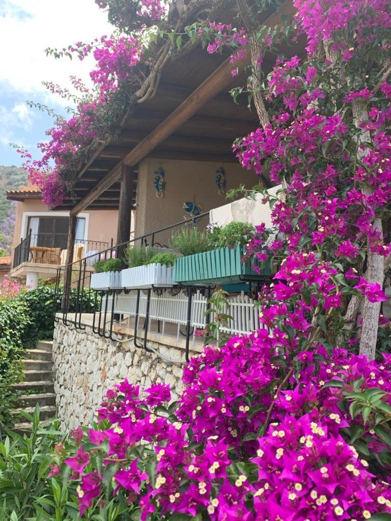 קלקן Sea View Bougainvillea 52 מראה חיצוני תמונה